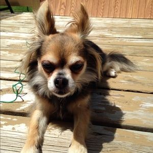 Meet your Posher, Olivia